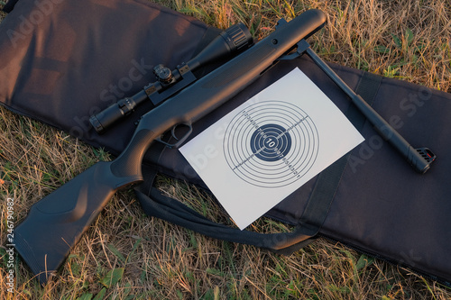 airgun and target
