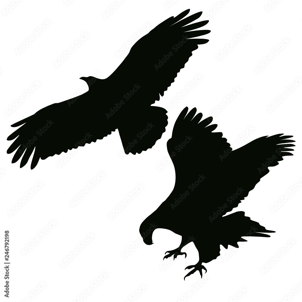 Eagle Silhouettes Eagle Silhouettes