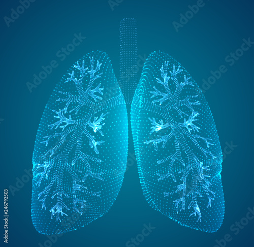 vector lungs and bronchi. vector design. point and dot style