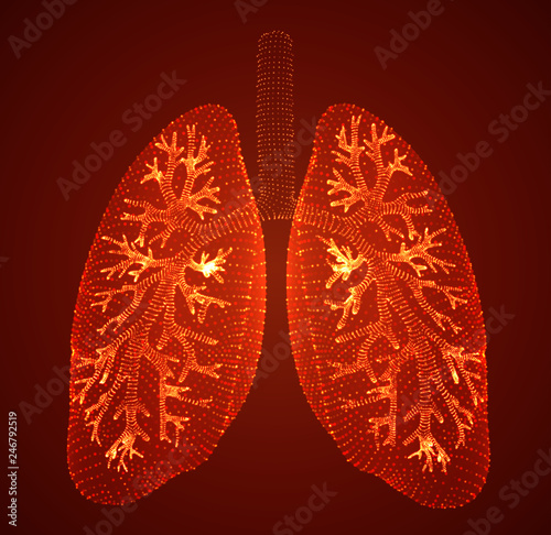 vector lungs and bronchi. vector design. point and dot style