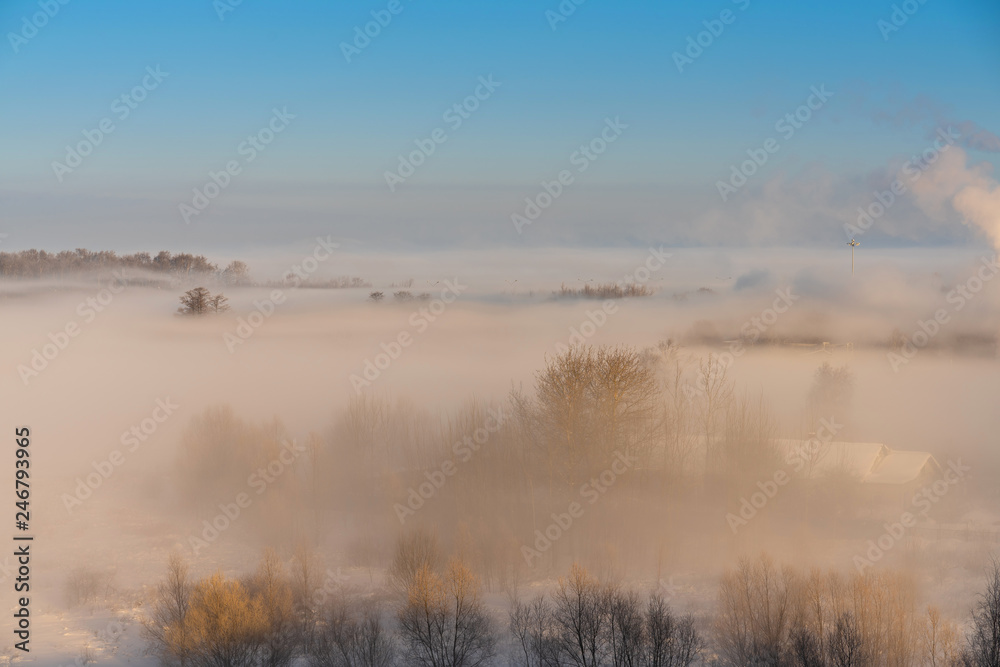 winter landscape with fog over the snow-covered trees and beautiful blue sky winter landscape with fog over the snow-covered trees and beautiful blue sky