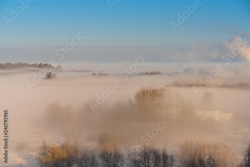 winter landscape with fog over the snow-covered trees and beautiful blue sky