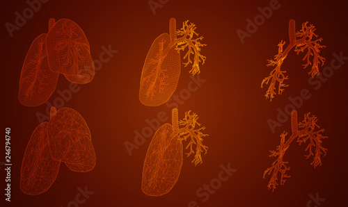 vector set. lungs and bronchi. 3d elements for design