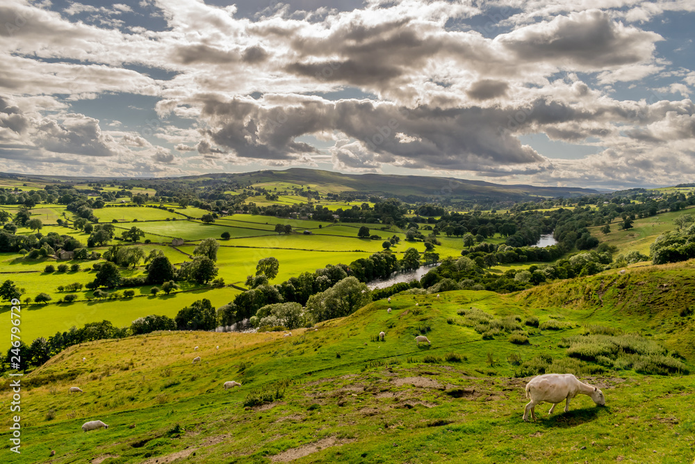 a valley with storm clouds and sheep in the fields. a valley with storm clouds and sheep in the fields.