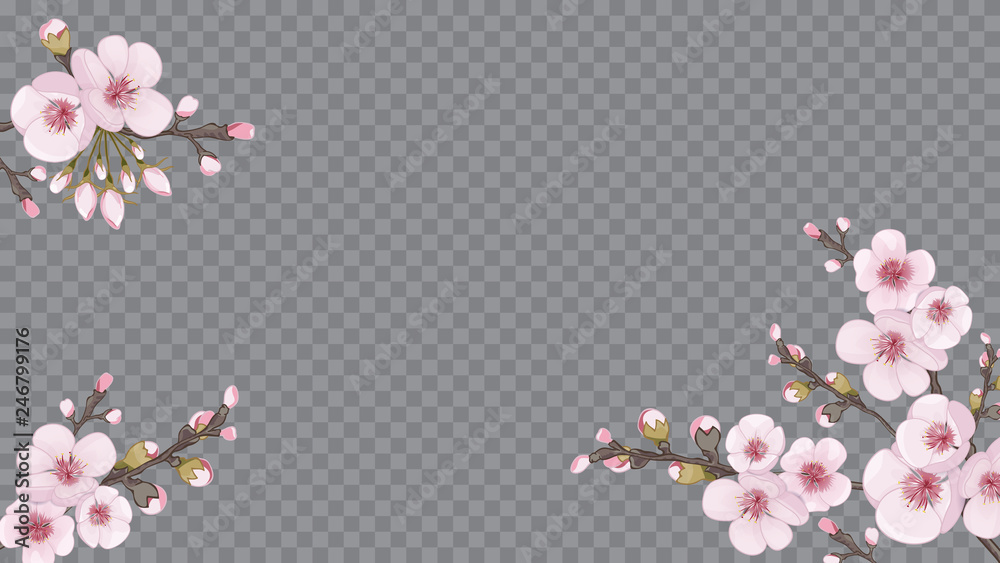 Light frame horizontal of sakura flowers. Handmade background in the Japanese style. Design element for textiles, wallpaper, packaging, printing. Pink on transparent background.