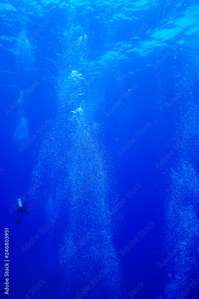 Fototapeta premium divers bubbles at the red Sea Egypt