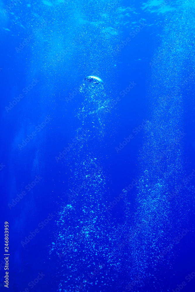 Fototapeta premium divers bubbles at the red Sea Egypt