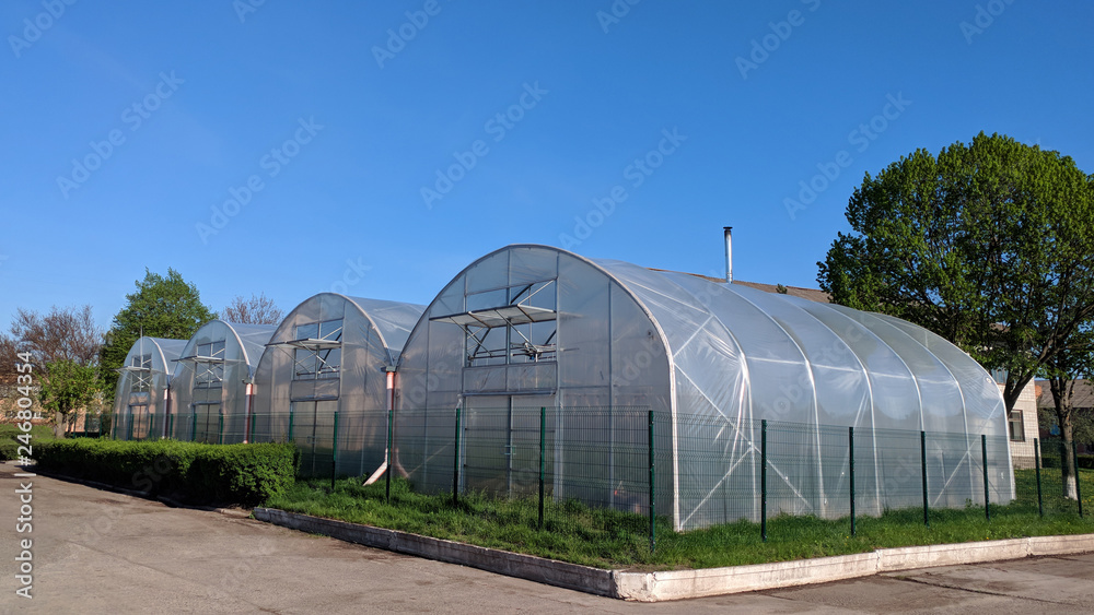 Polythene tunnel as a plastic greenhouse in an allotment with growing vegetables Polythene tunnel as a plastic greenhouse in an allotment with growing vegetables