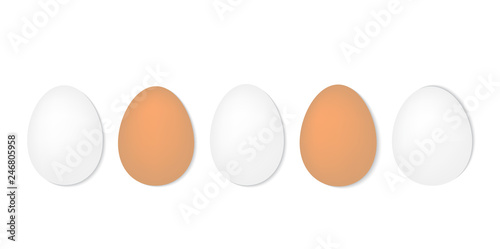 eggs in a row- vector illustration