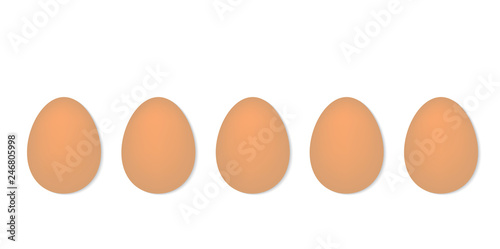 eggs in a row- vector illustration