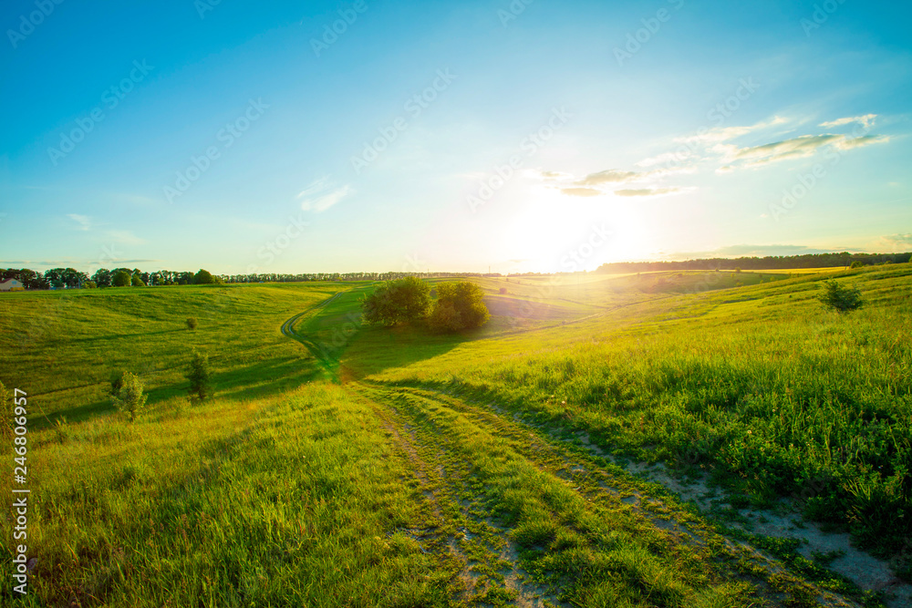Obraz premium Green meadow under blue sky with clouds