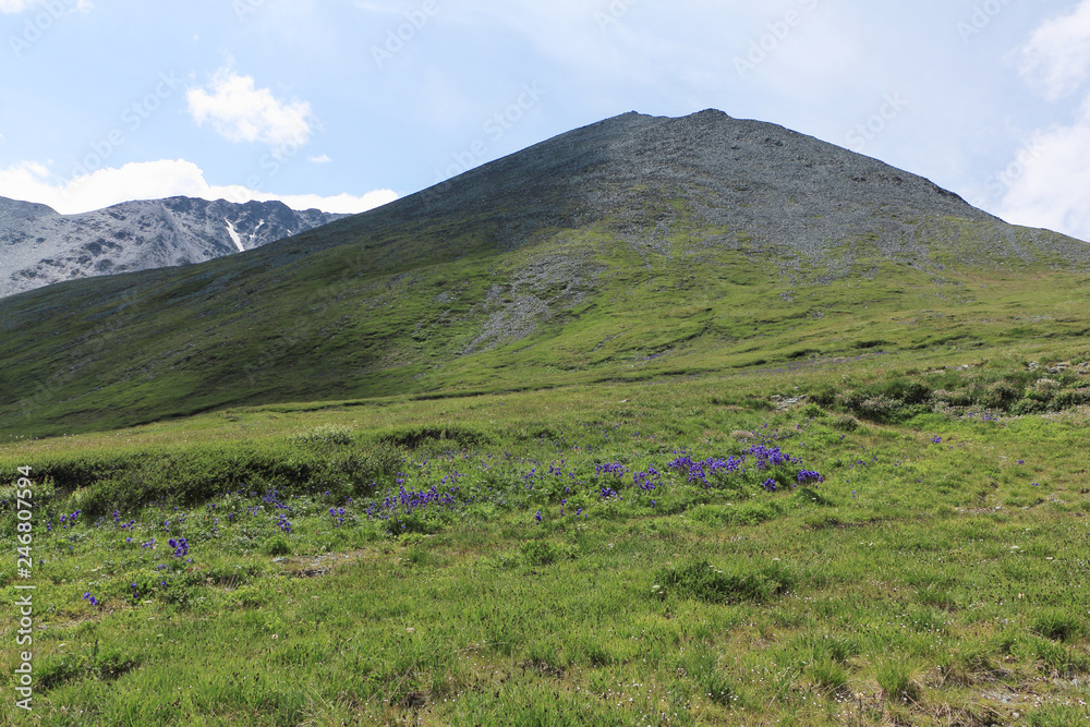Fototapeta premium View from Kara-Turek Pass, Altai Mountains, Russia