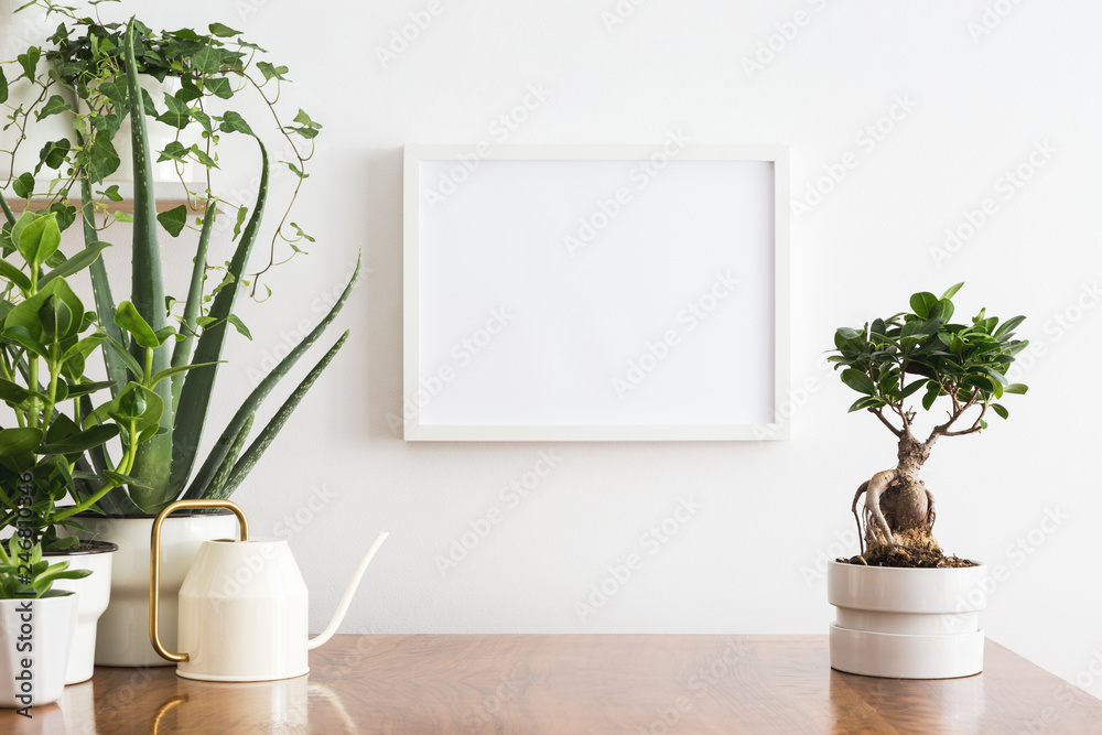 Decorative plants. Spring home garden against wall mock up.