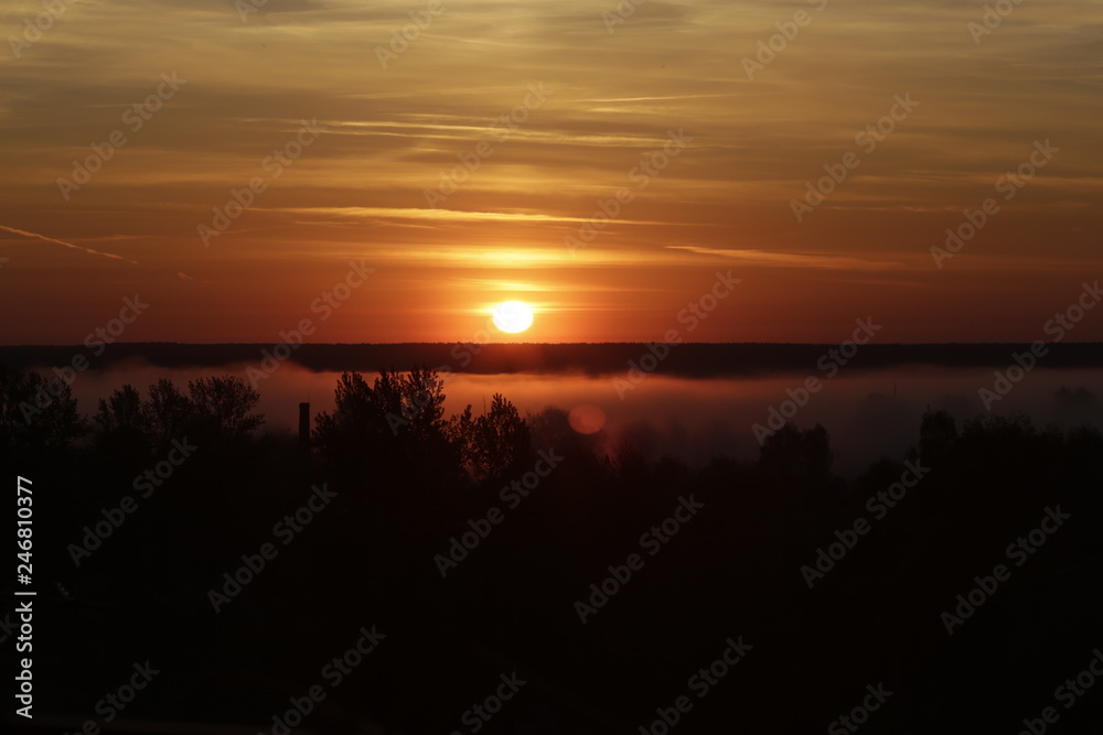 Obraz premium Red sunrise on fog background. Sun over the forest