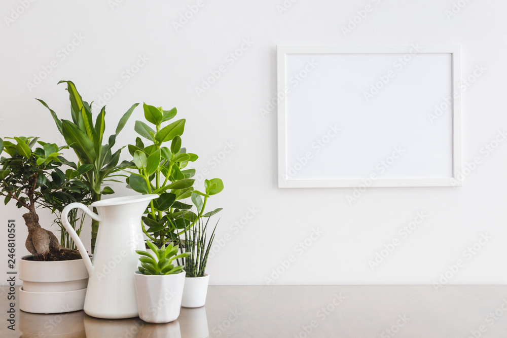 A lot of house plants on wooden table and poster frame mock up.