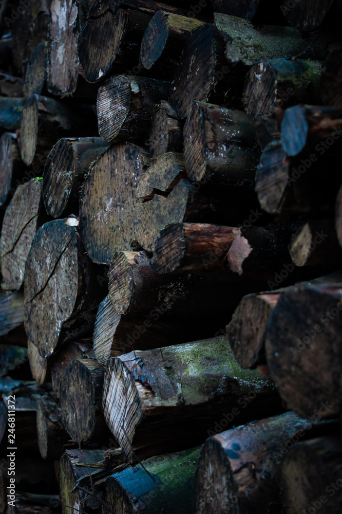Log Pile Log Pile