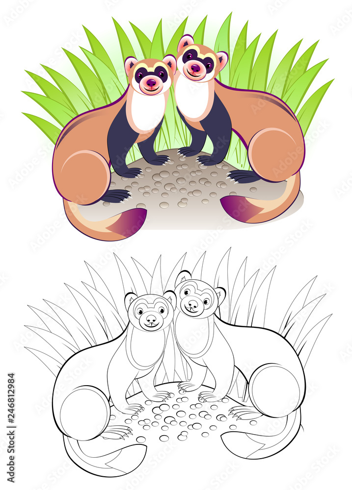 Fantasy illustration of couple cute ferrets. Colorful and black and ...