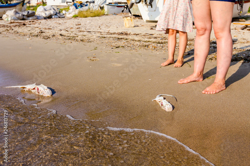 People are watching young dead stingray in shallow sea water photo