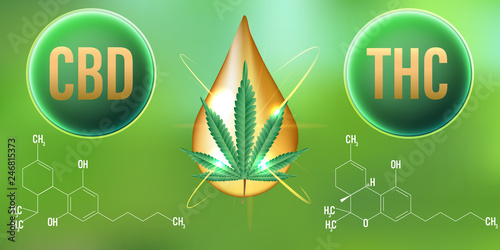 THC (Tetrahydrocannabinol) and CBD (Cannabidiol) of formula background.Vector Illustration