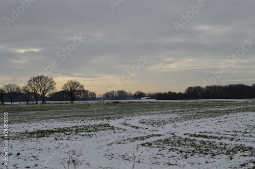 Mittagssonne über einem verschneiten Feld am Niederrhein