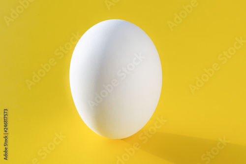 white chicken egg