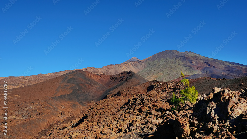 Montana Samara in Teide National Park, one of the most unusual volcanic landscape with views towards Pico del Teide, Pico Viejo, Las Cuevas Negras and open pine forests, in Tenerife, Canary Islands