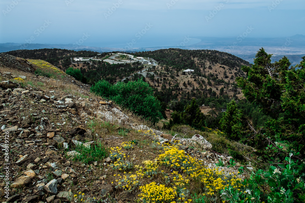 Troodos National Forest Park. Cyprus. Mountains covered forest on blue sky background. Top view. Tourist destination, tourism, travel, caravanning