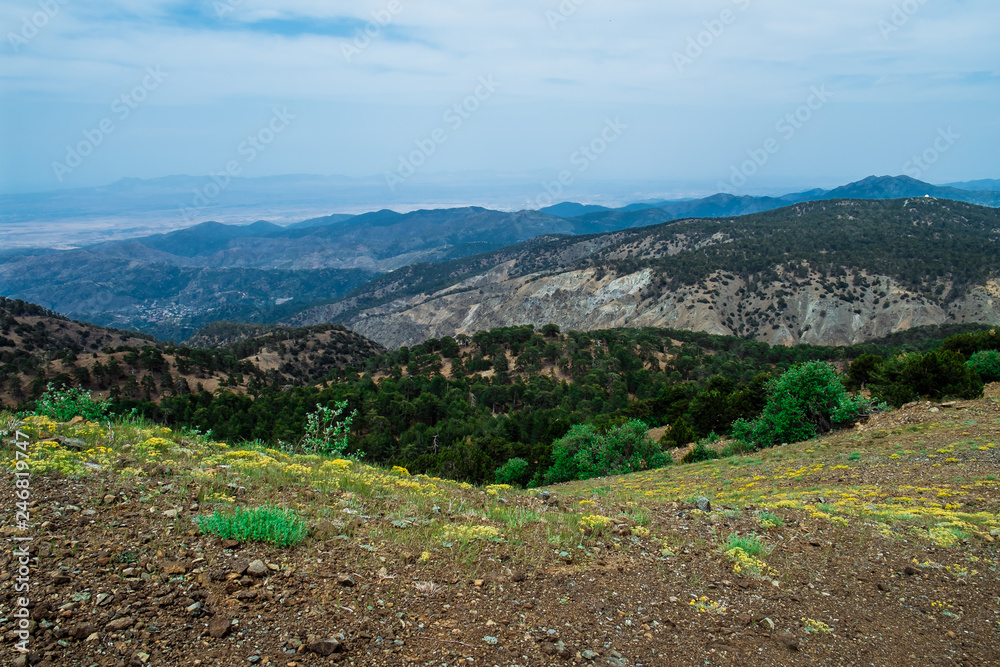 Troodos National Forest Park. Cyprus. Mountains covered forest on blue sky background. Top view. Tourist destination, tourism, travel, caravanning
