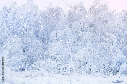 Snowfall in forest. Snowflake concept. Winter texture