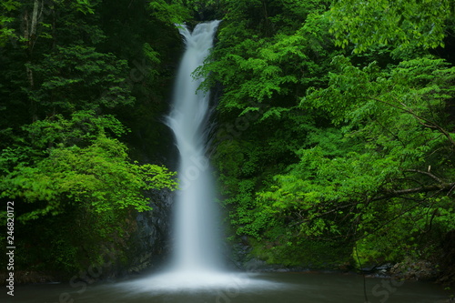 Small waterfall among the verdant trees in early summer