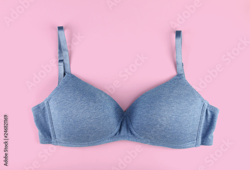 Lady's Blue Bra Isolated