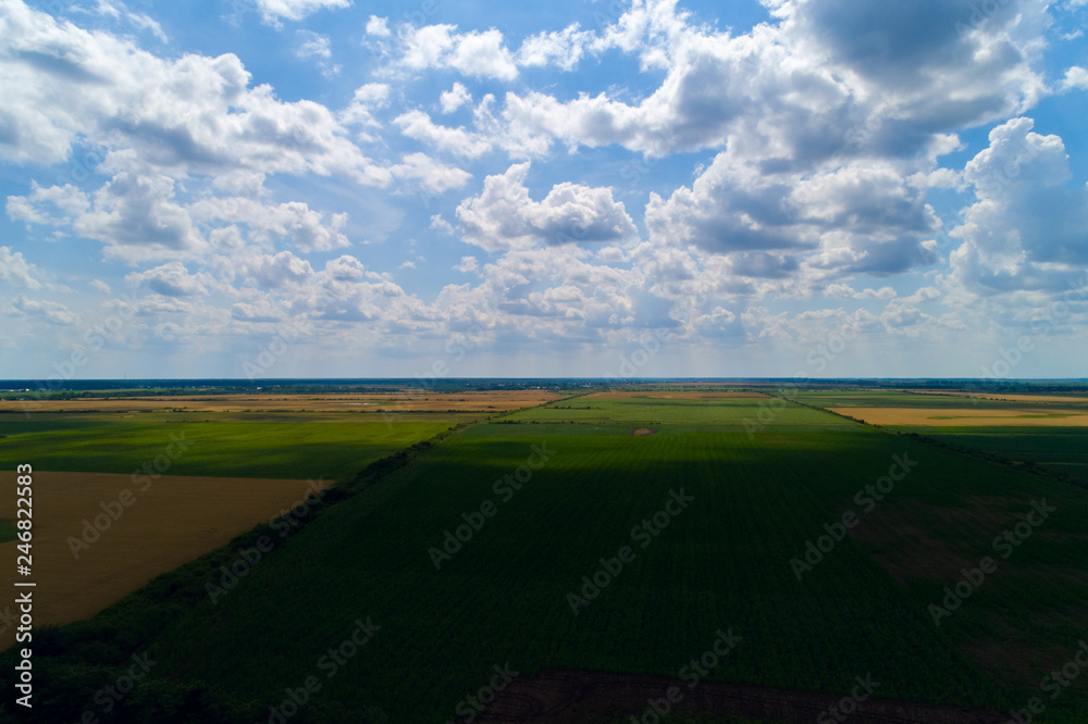 Fototapeta premium Dark Field with Clouds