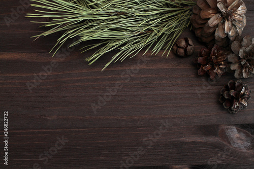 winter background with fir branches and cones