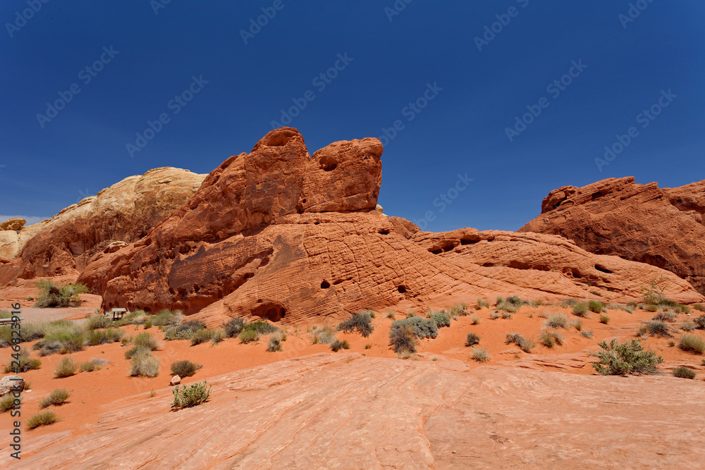 Fototapeta premium Valley of Fire State Park, Nevada, United States 