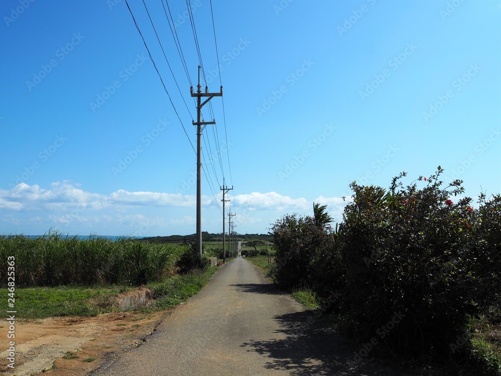 Straight path in the countryside, Kohama Island, Okinawa