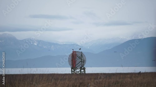 Two birds at a dike in Vancouver, BC with mountain landscape behind. Shot on the Sony 50-210mm on a Sony A5100. photo