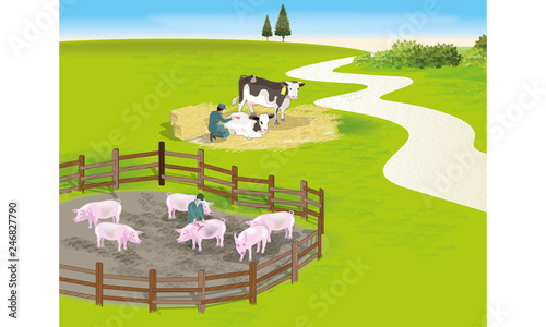 Farms animals