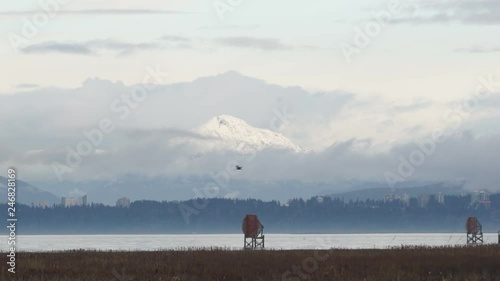 Bird flying through dike scene with mountain peak behind. Shot on the Sony 50-210mm on a Sony A5100. photo