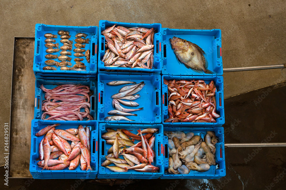 Foto de Blue plastic containers with catch of sea fish, shrimp, octopus ...