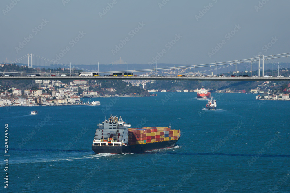 Cargo Ship in Bosphorus