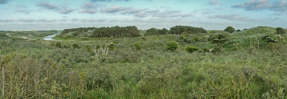 Landschaft in den Waterleidingduinen in der Nähe von Zandvoort und Amsterdam in den Niederlanden Landschaft in den Waterleidingduinen in der Nähe von Zandvoort und Amsterdam in den Niederlanden