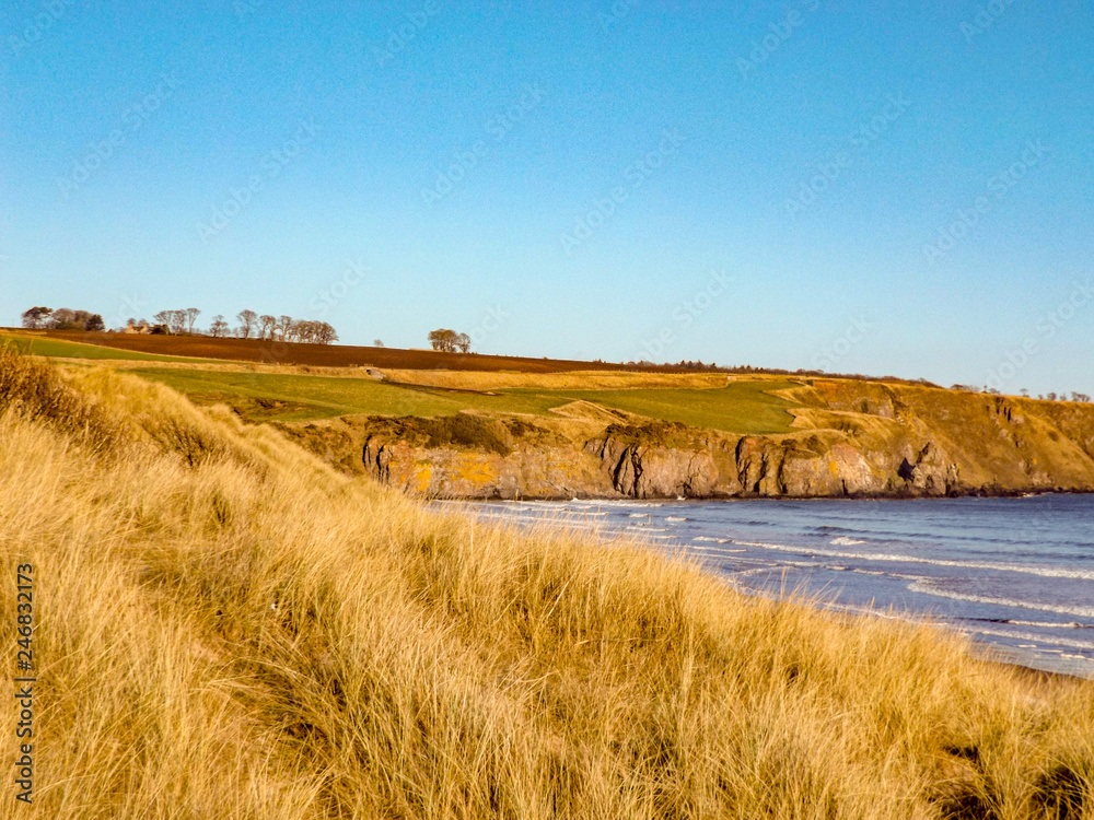 Fototapeta premium landscape with river and blue sky