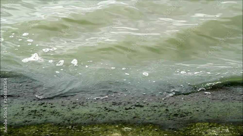 Handheld video shot of fresh lake water moving and touching the shore Handheld video shot of fresh lake water moving and touching the shore