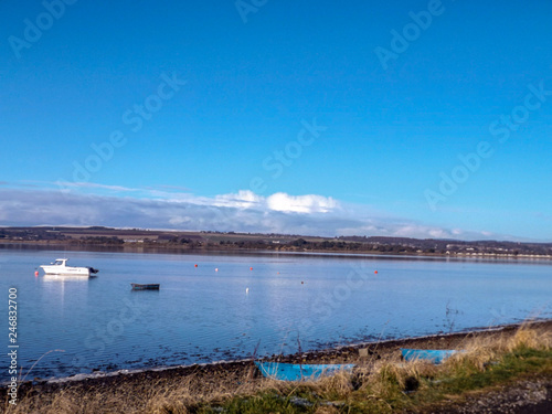 Wallpaper Mural view of the river and bridge Torontodigital.ca