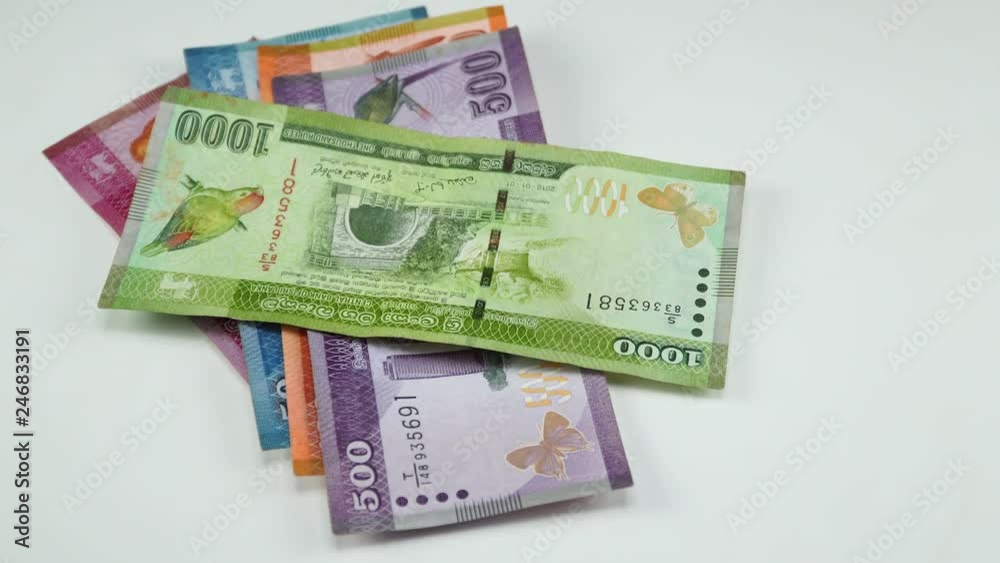 The man who counts Sri Lanka money. 4K The man who counts Sri Lanka money. 4K