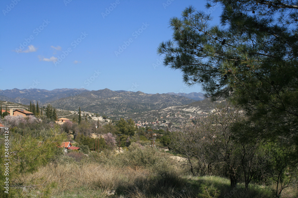 Fototapeta premium Springtime in the mountains