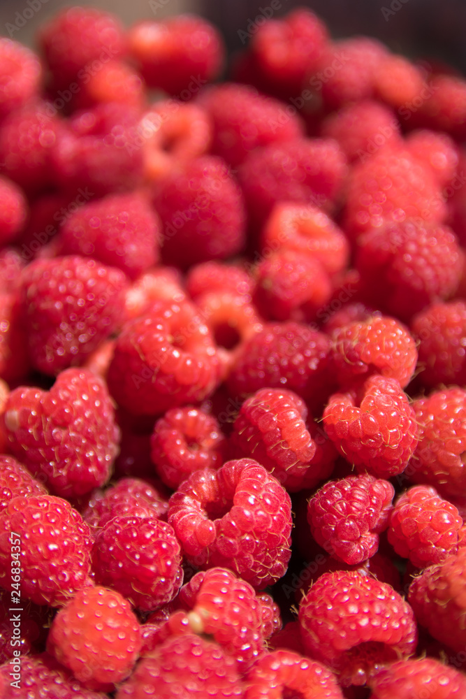 Red raspberry texture or backround. CG render Red raspberry texture or backround. CG render