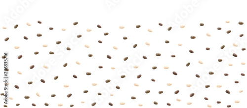 Chia seeds vector background