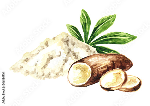 Schilderij op canvas Cassava root, powder