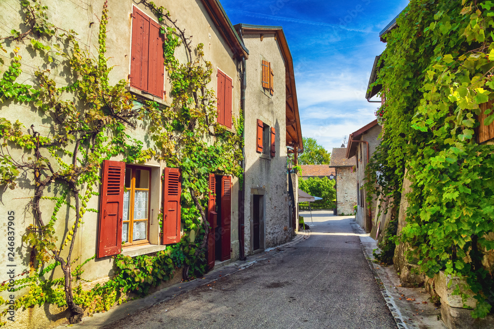 Fototapeta Domy pokryte bluszczem w średniowiecznym francuskim mieście Yvoire